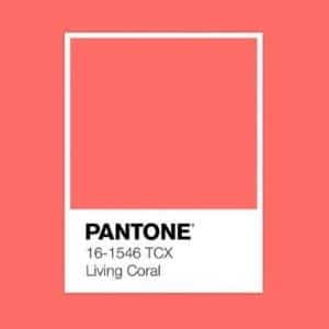 Pantone 2019